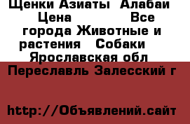Щенки Азиаты (Алабаи) › Цена ­ 20 000 - Все города Животные и растения » Собаки   . Ярославская обл.,Переславль-Залесский г.
